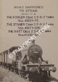 Book cover of What Happened to Steam by HANDS, Peter